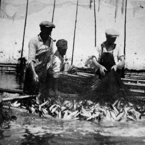 Seining weir